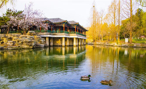 北京中山公园优美风景