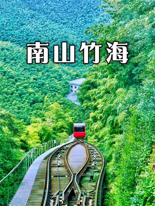 南山竹海图片